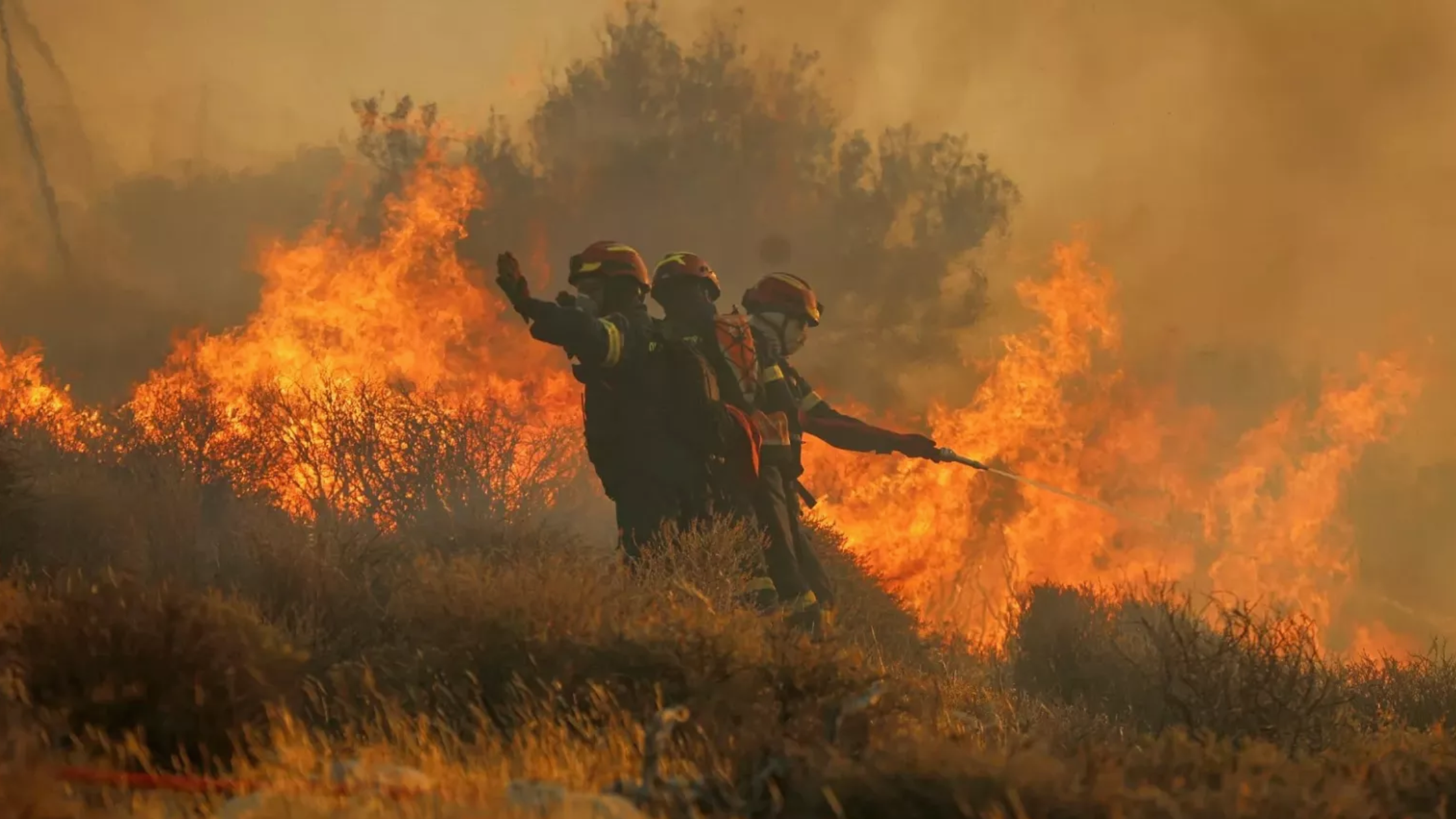 Incendios Forestales en Europa: Cómo Puedes Ayudar a las Víctimas a Través de Donaciones y Voluntariado