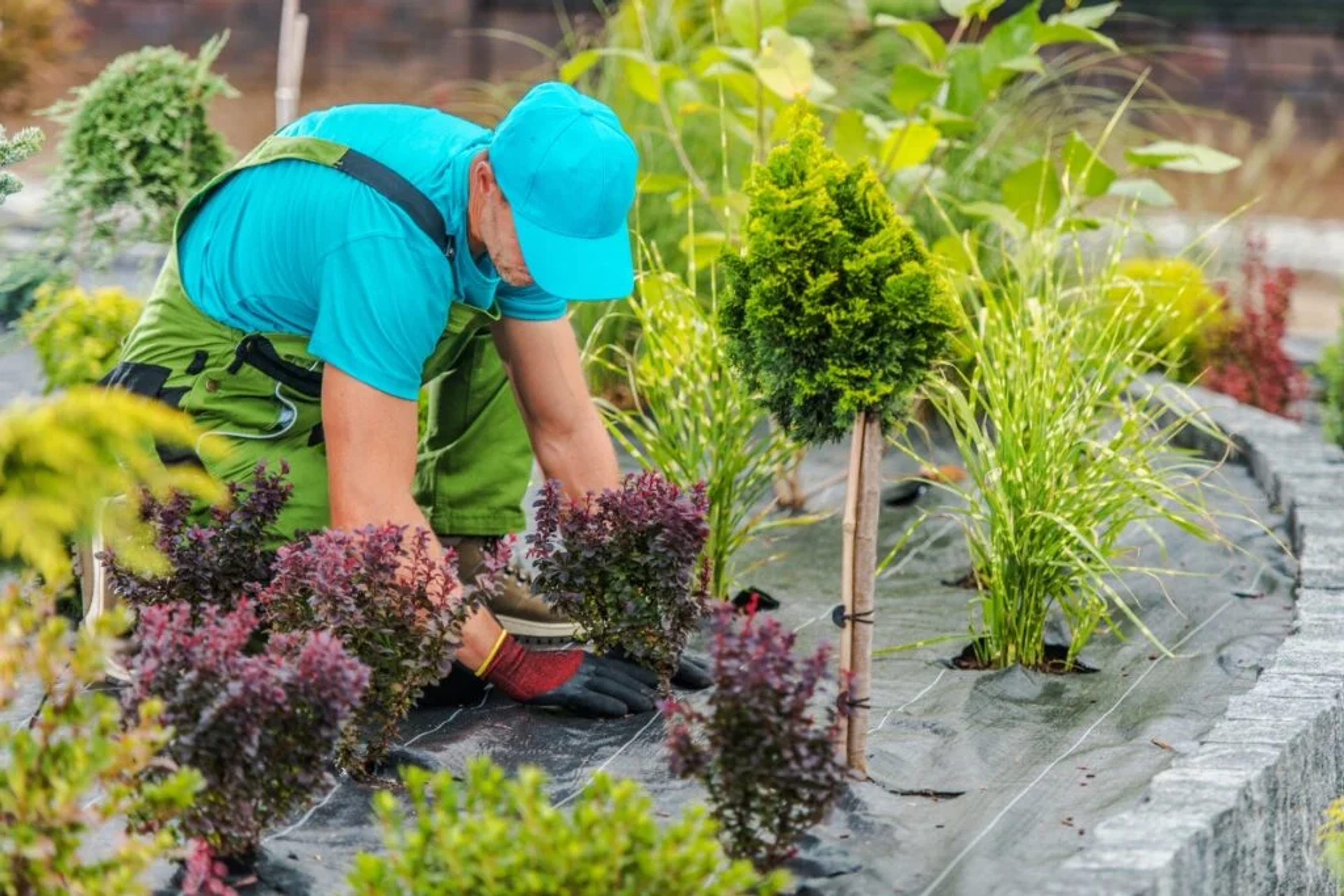 Gardener planting trees in an urban landscape to promote sustainable green spaces.