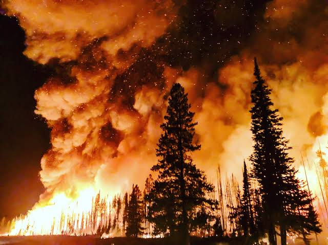 Toxic Haze Crisis: How Super El Niño Wildfires Are Choking Southeast Asia