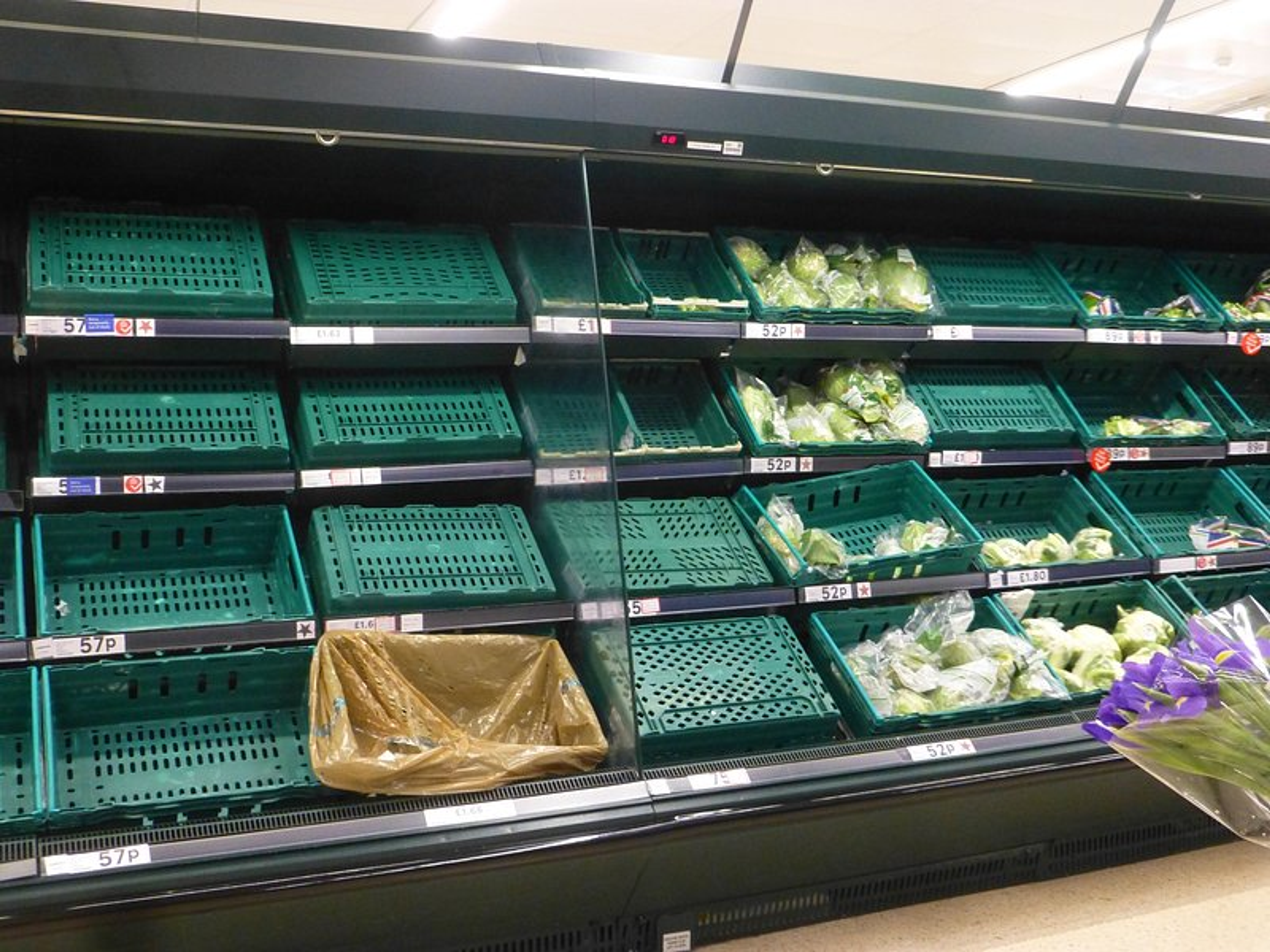 Nearly empty supermarket produce shelves with only a few vegetables left.