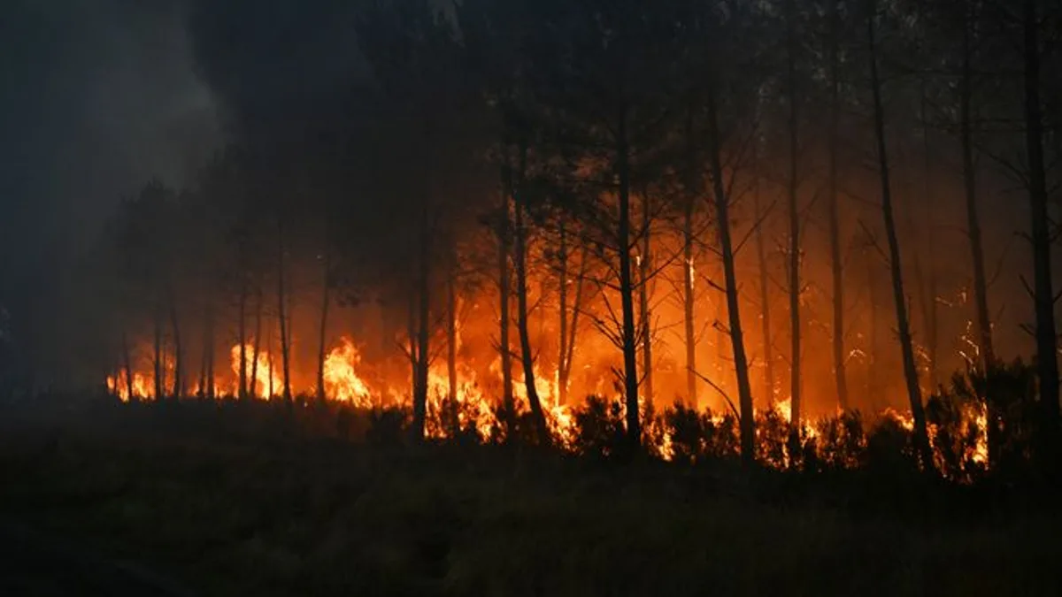 Rebuilding British Landscapes to Halt Wildfire Disasters