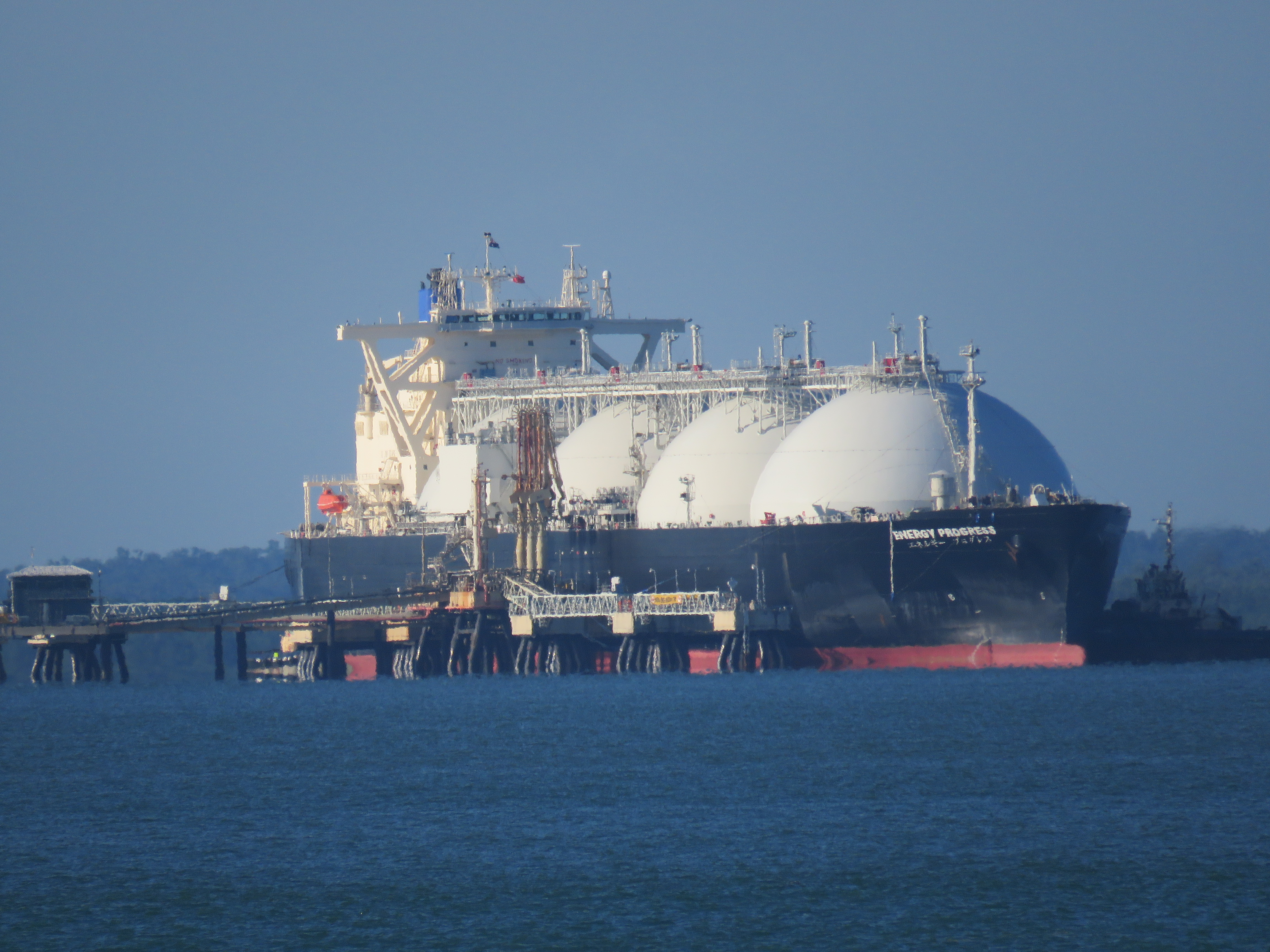 The World's Oil Order Just Broke: What the UAE's OPEC Exit Means for Consumers