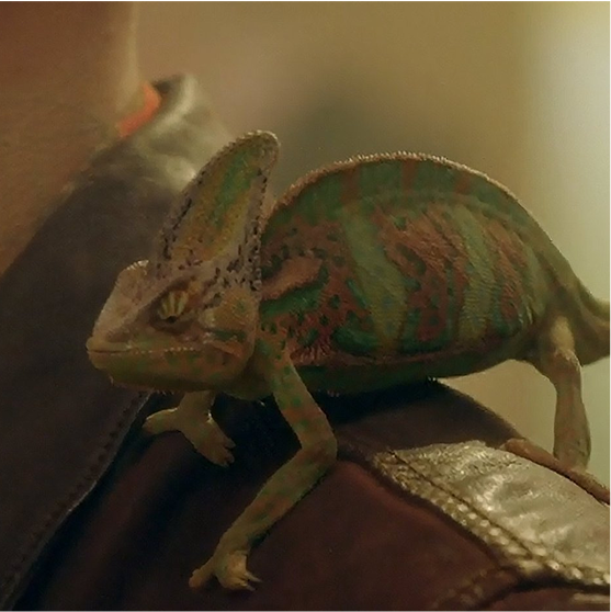 a tall building with a lot of windows and balconies .