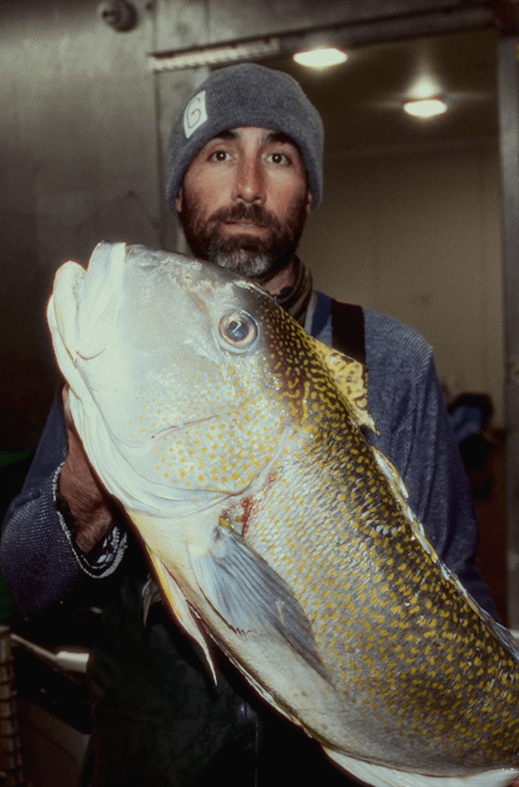 save hudson canyon wildlife conservation society grand banks lobster place greenpoint fish and lobster