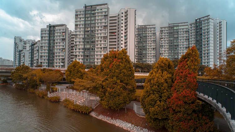 3.3% Growth in HDB Resale Transactions as Demand Stabilises in November | Ohmyhome Insights