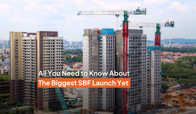 Your Complete Guide to the Feb 2025 SBF Exercise