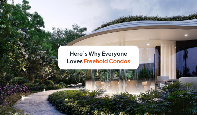 Everything You Need to Know About Freehold Condos