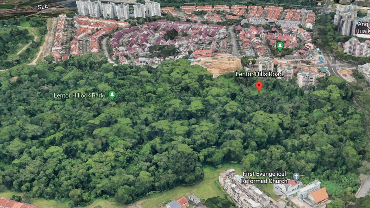 A Glimpse Into the Upcoming Lentor Hills Estate