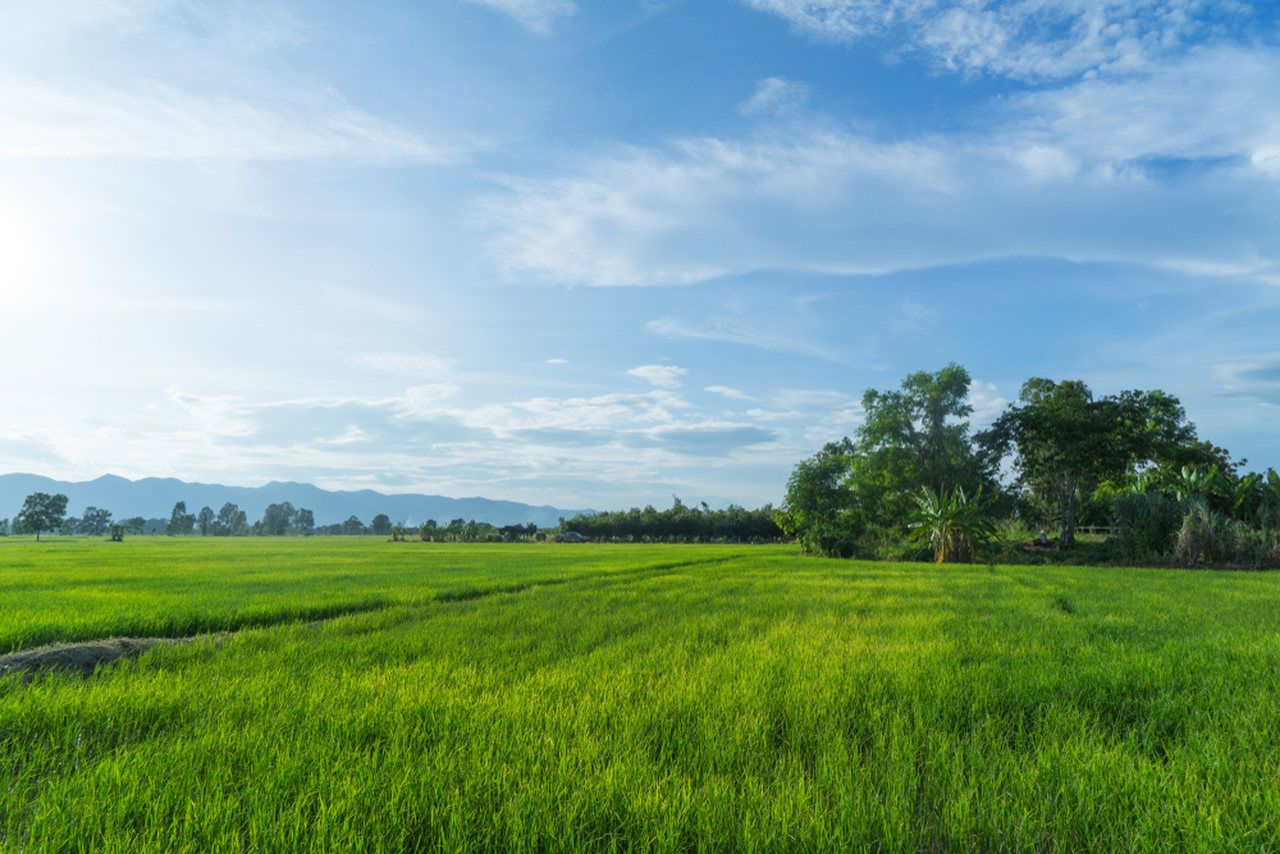 EcoWorld Acquisition of Entire 2,198-acre Parcel Nears Completion
