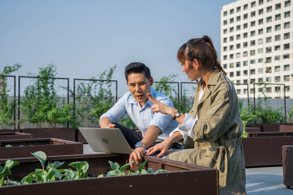 HDB Car Park Rooftops to Become Farming Sites