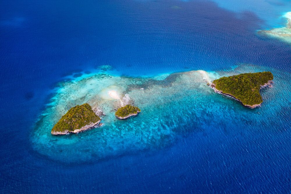Hope for Asia-Pacific Waters Amid COVID-19 Pandemic