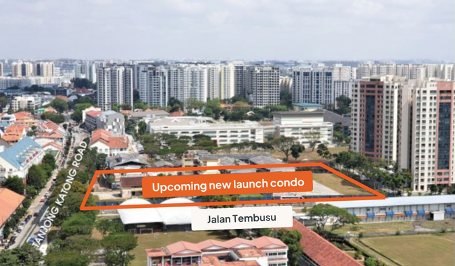 Price Trend Analysis: A Look Into the Next Condo Launch at Jalan Tembusu