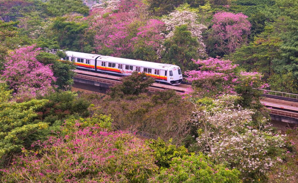 Public Transport in Singapore: MRT, LRT and Bus