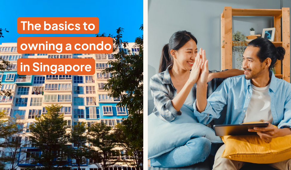 A Condo Owner’s Responsibilities Under BMSMA