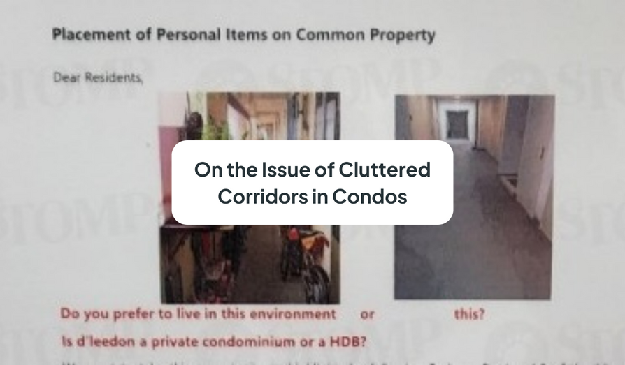 Cluttered Corridors in Condo – Can a Professional MA Handle This Better?
