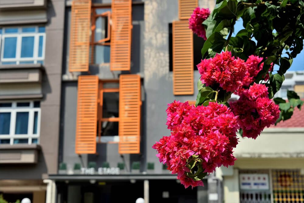 Why Buy an HDB Flat in Geylang?
