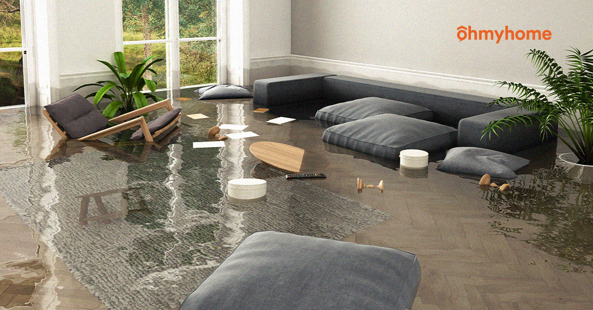 Free and Exclusive: Singlife’s One-Year Home Contents Insurance