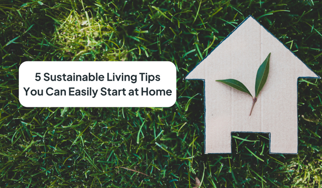 5 Sustainable Living Tips You Can Easily Start at Home