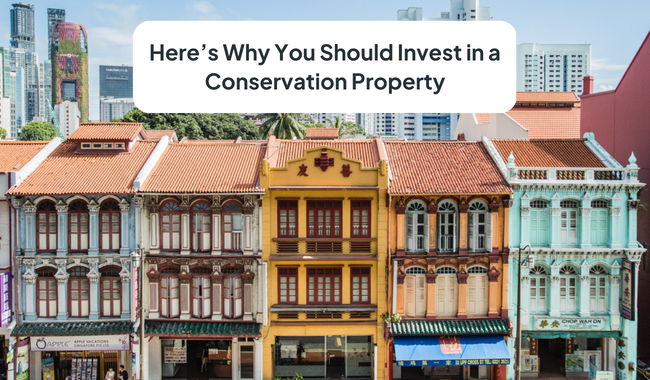 Is A Conservation Property A Valuable Investment?
