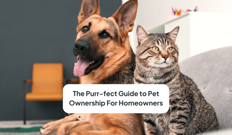 The Purr-fect Guide to Pet Ownership in Singapore For Homeowners