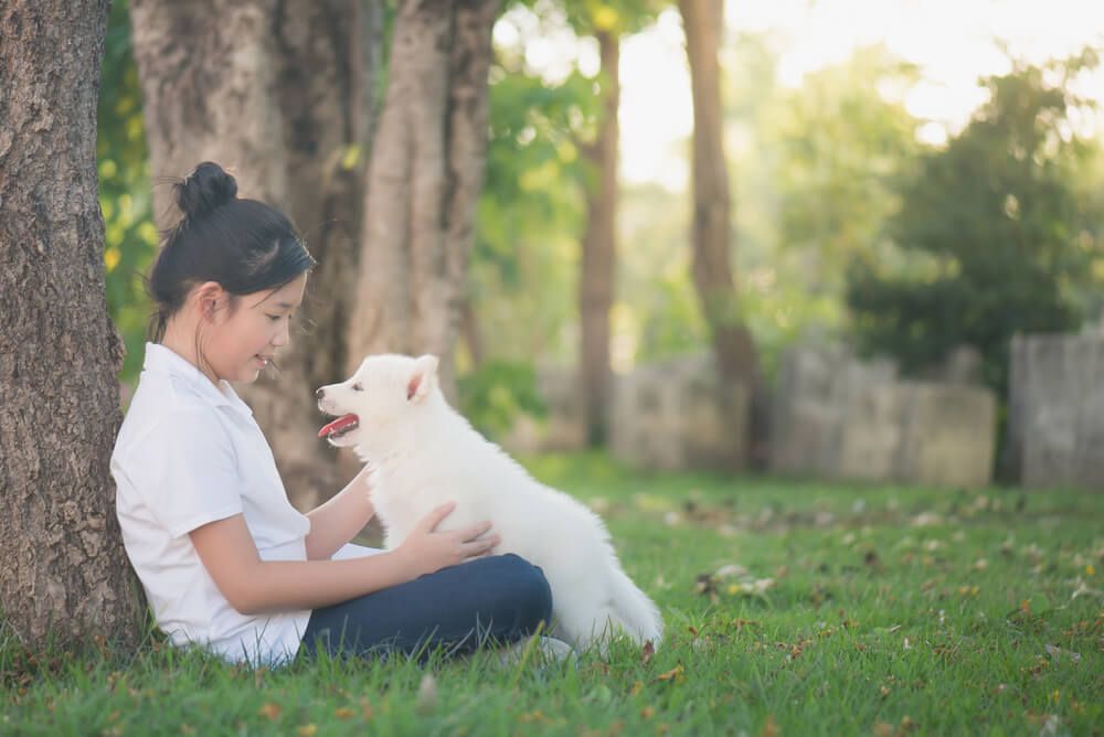 Top 3 Dog-Friendly Places in Serangoon for Paw-rents