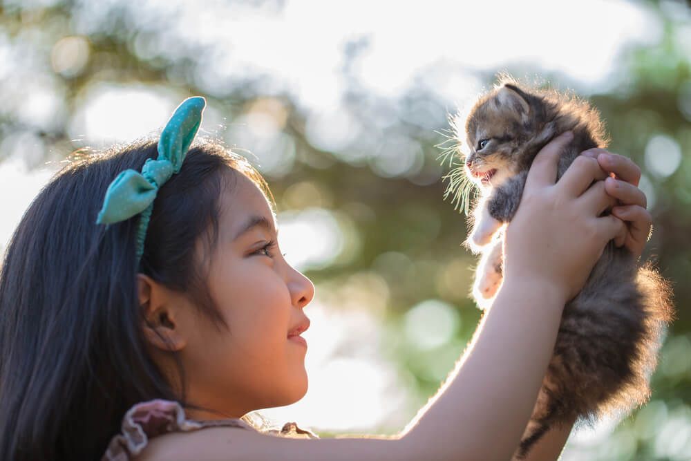 Parc Life: Fun-filled Days with Your Kids and Pets in District 27