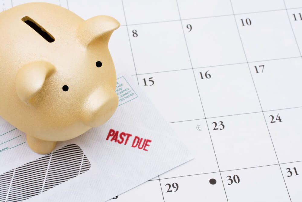 Resilience Budget: Greater Flexibility on Fees and Loans