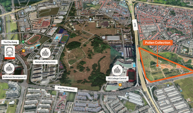 Pollen Collection: New Landed Property at Nim Road