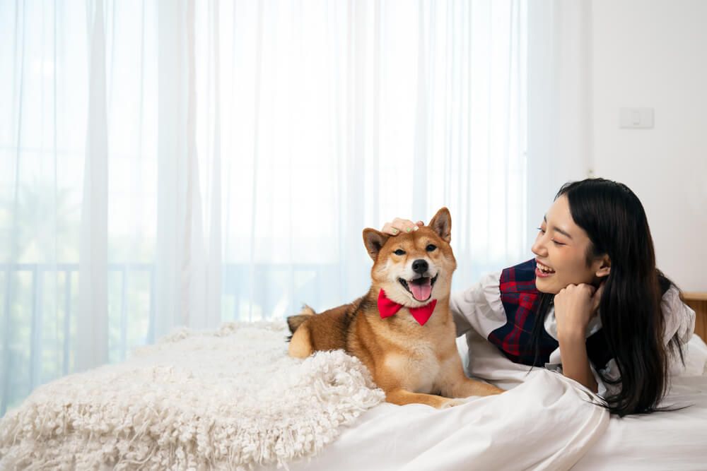 Property News: HDB Residents Can Now Adopt Bigger Dogs