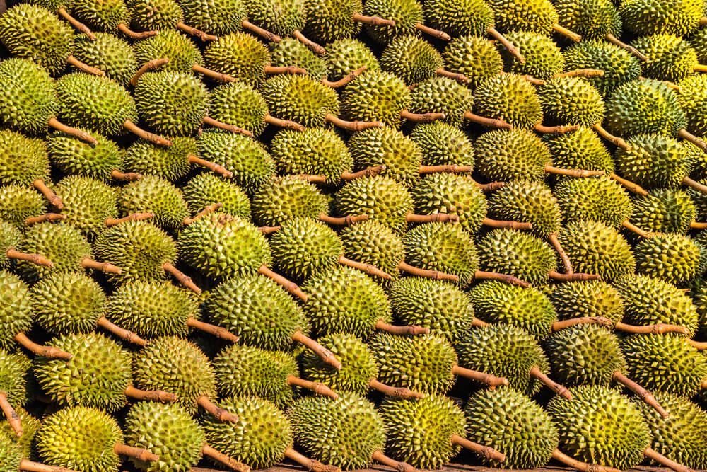5 Singaporean Delicacies and Where to Find Them After the Circuit Breaker Period