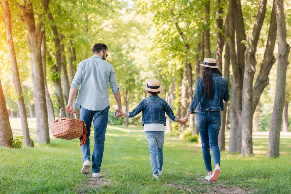 Jadescape @ Central Singapore: Smart Home Living and Nature-inspired Offerings