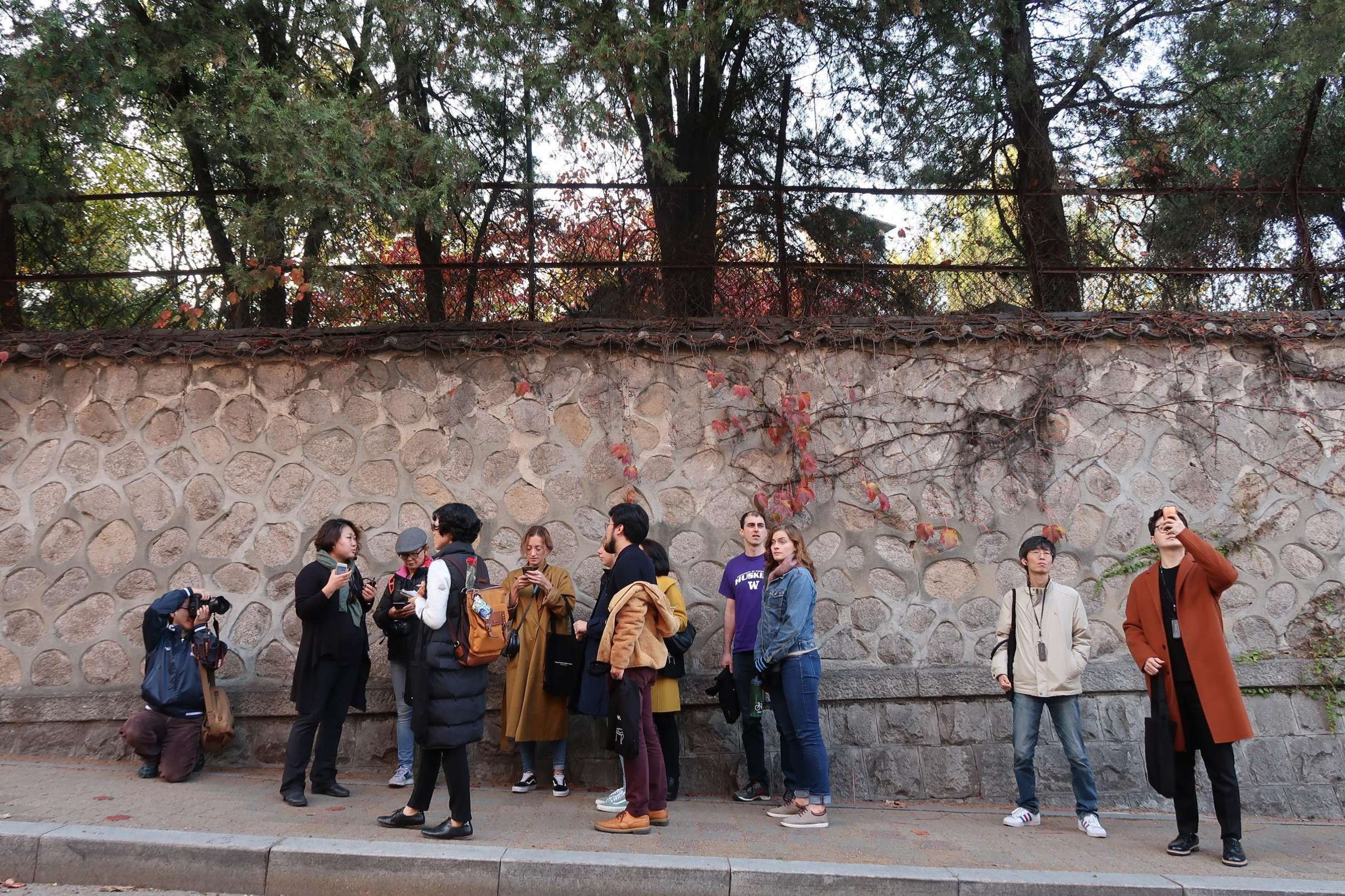 Namdaemun & Myeongdong 11-Tasting Food Walk, Seoul — photo 2