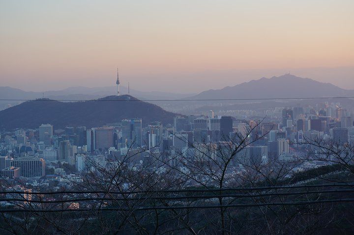 Private Seoul BBQ Dinner & Night-View Tour, Seoul — photo 1