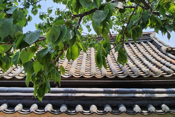 Bukchon Hanok Food Walk with Tea Tasting, Seoul — photo 4