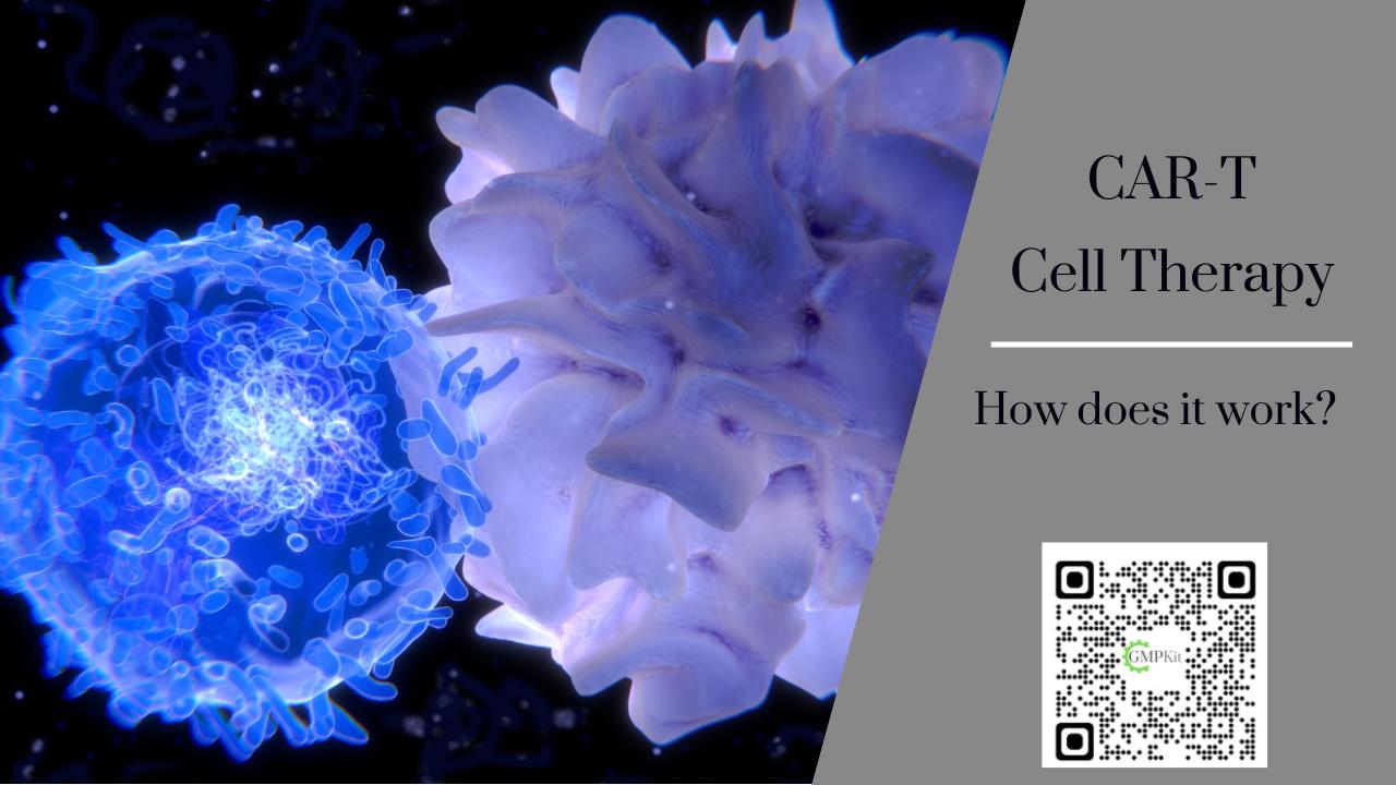 How Does CAR-T Cell Therapy Work?