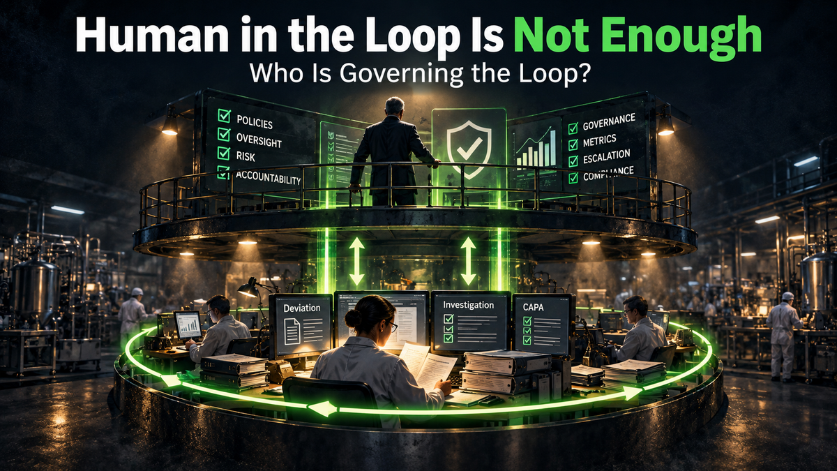 Human in the Loop Is Not Enough: Who Is Governing the Loop?