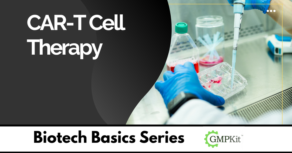 How Does CAR-T Cell Therapy Work?