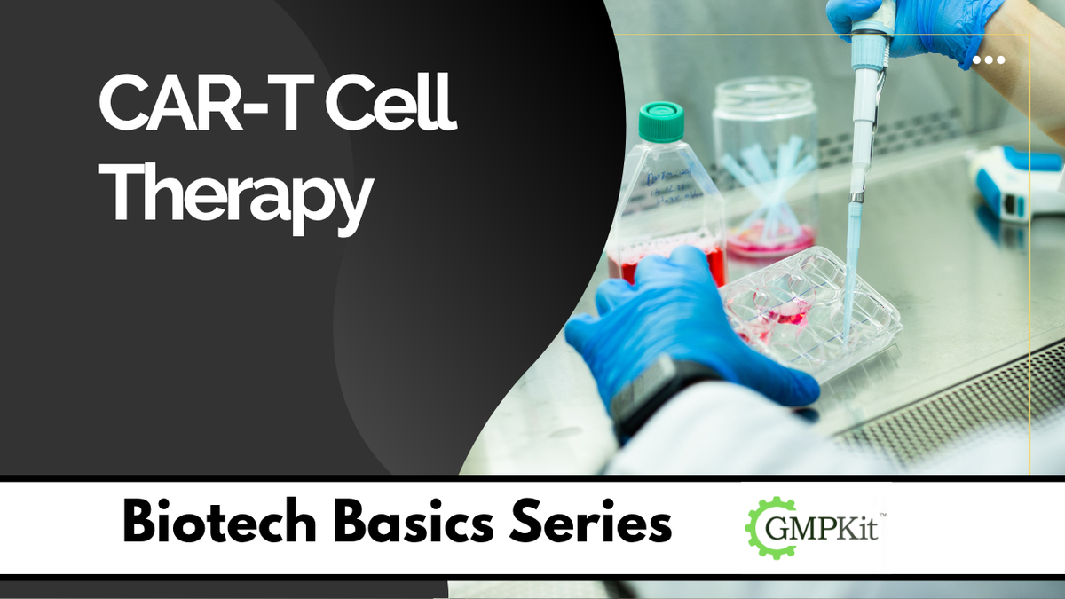 How Does CAR-T Cell Therapy Work?
