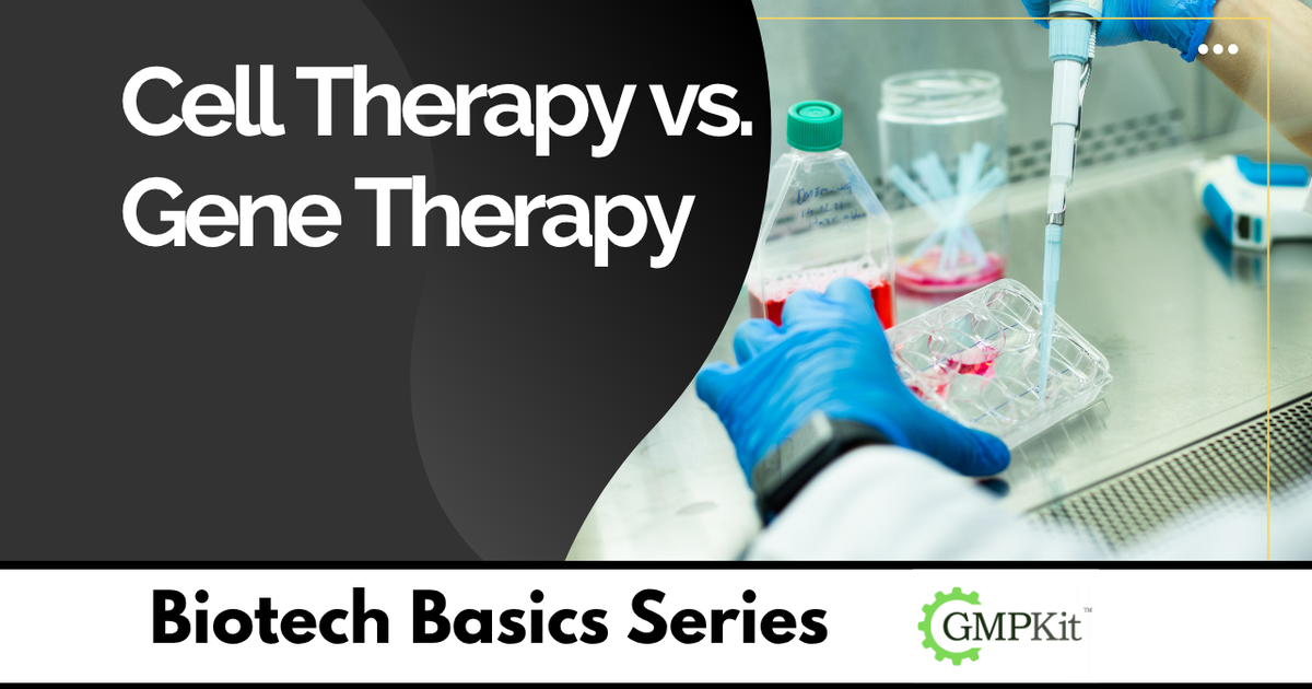 Cell Therapy vs. Gene Therapy: What’s the Difference?