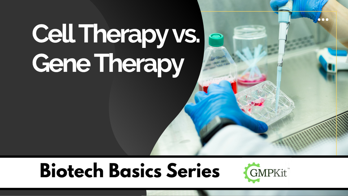 Cell Therapy vs. Gene Therapy: What’s the Difference?
