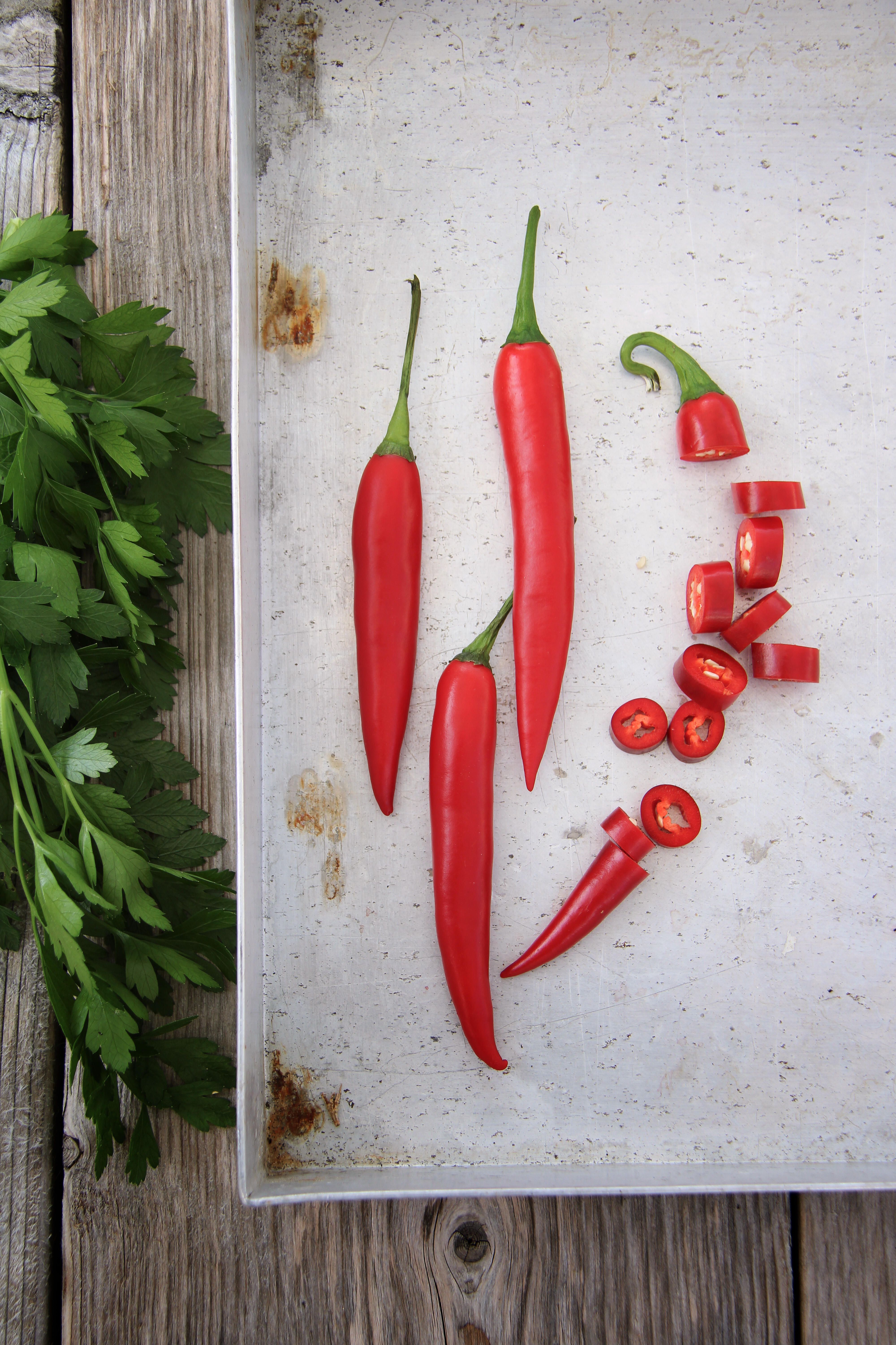 Chilipepper 2
