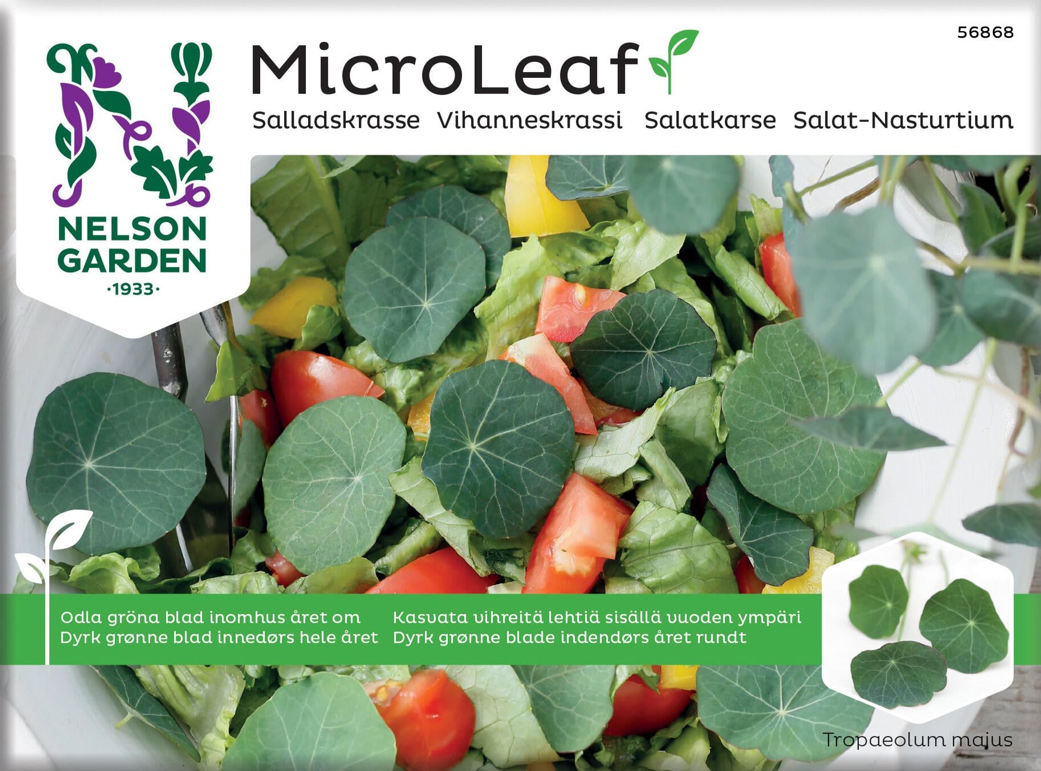 Micro Leaf, salat-nasturtium