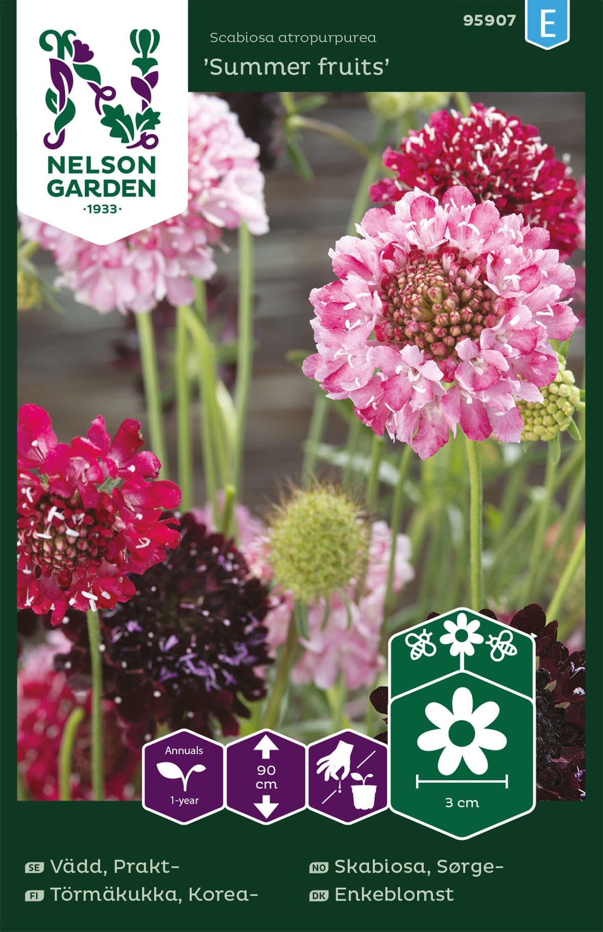 Enkeblomst 2