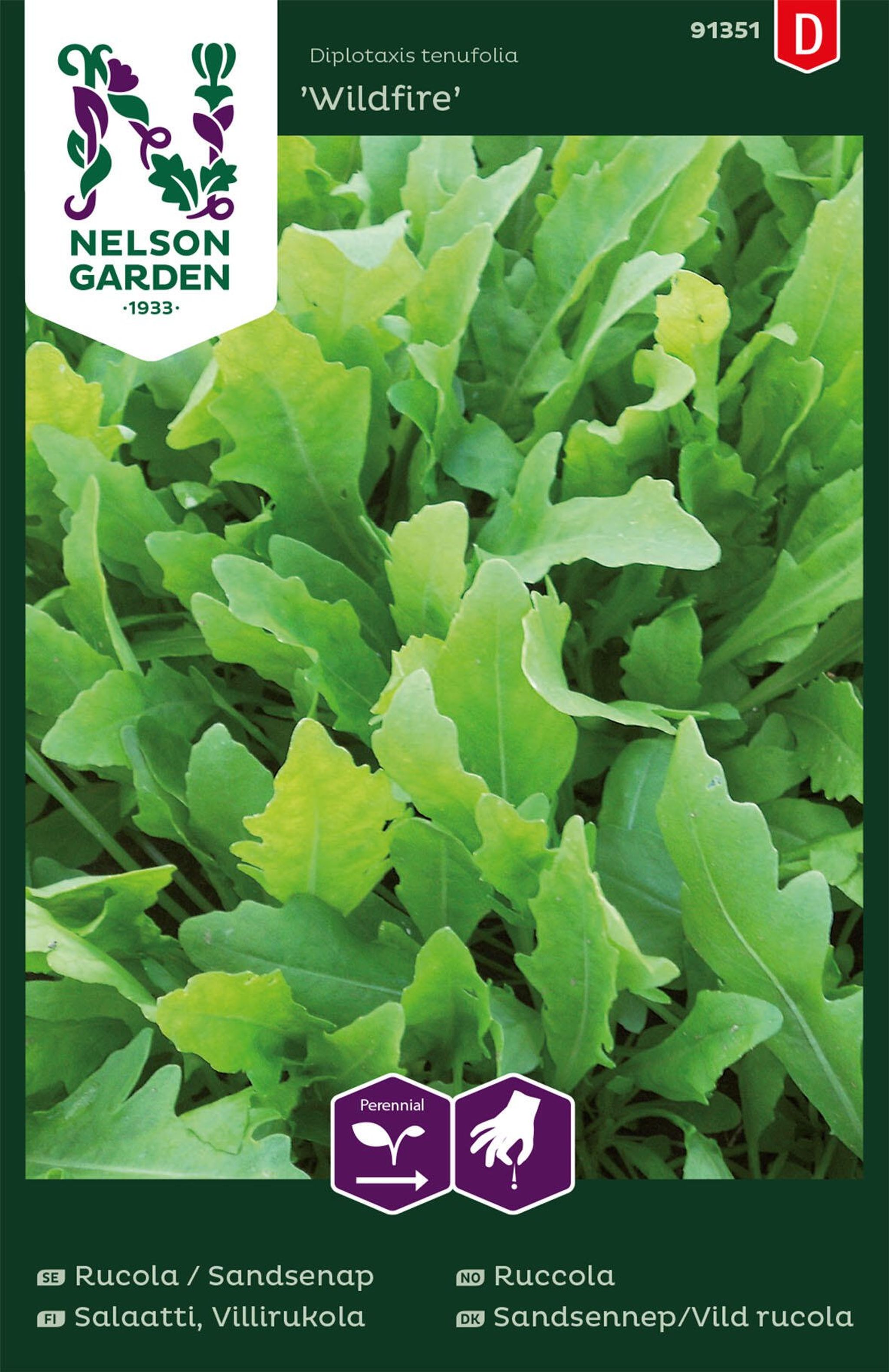 Ruccola