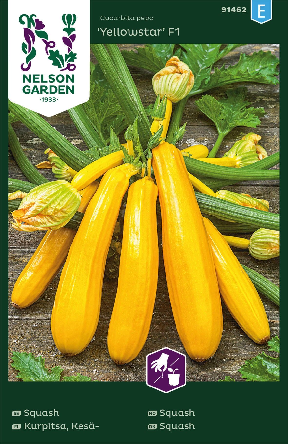 Squash 1