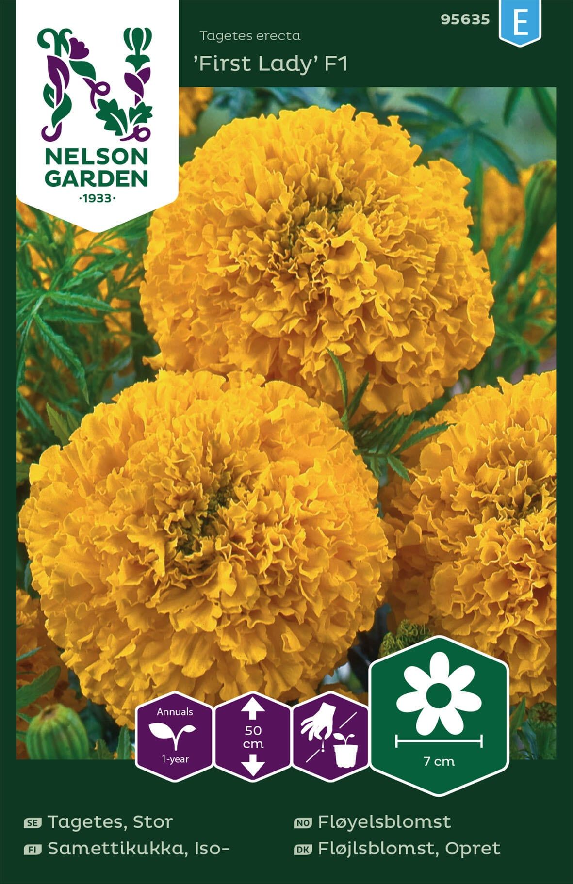 Stor tagetes 1