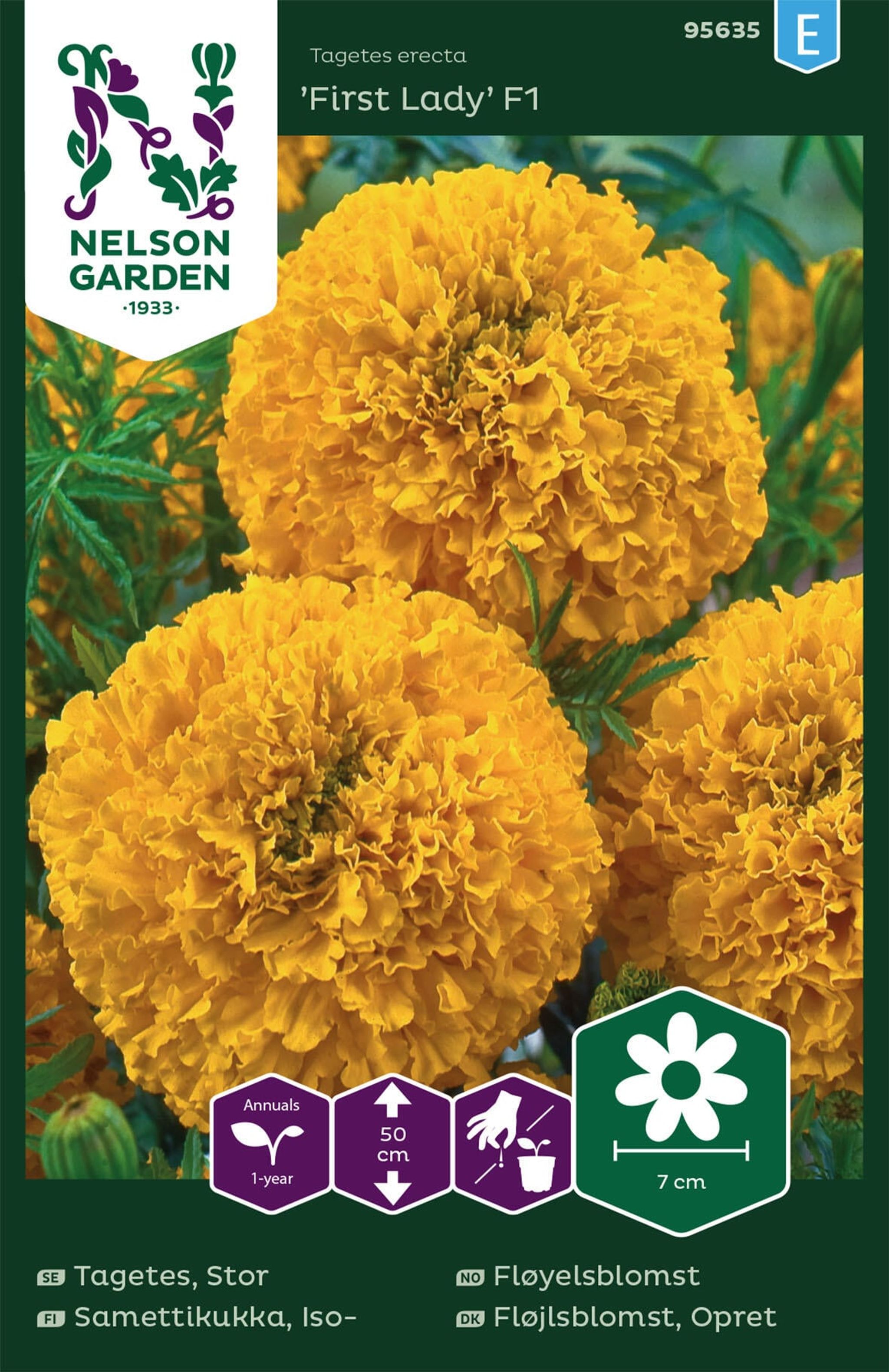 Opret fløjlsblomst