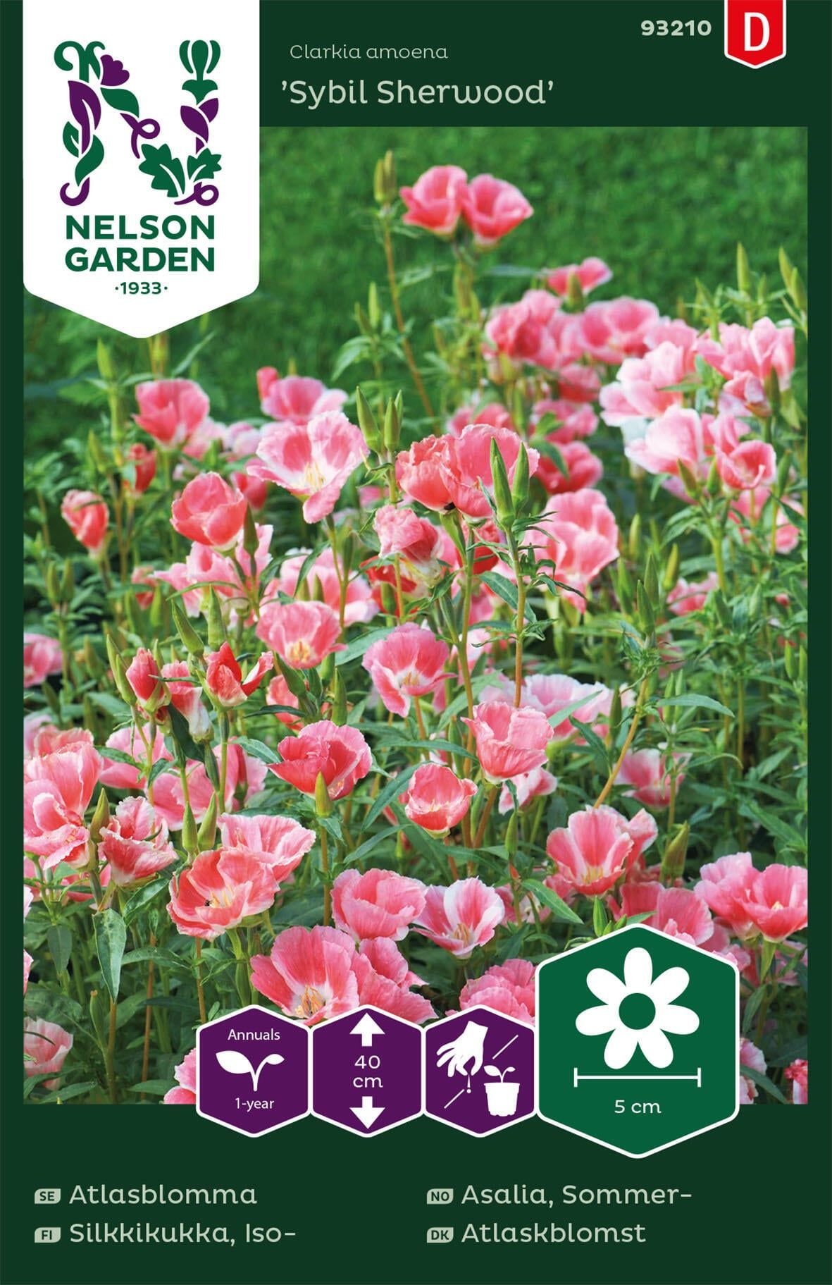 Atlaskblomst 1