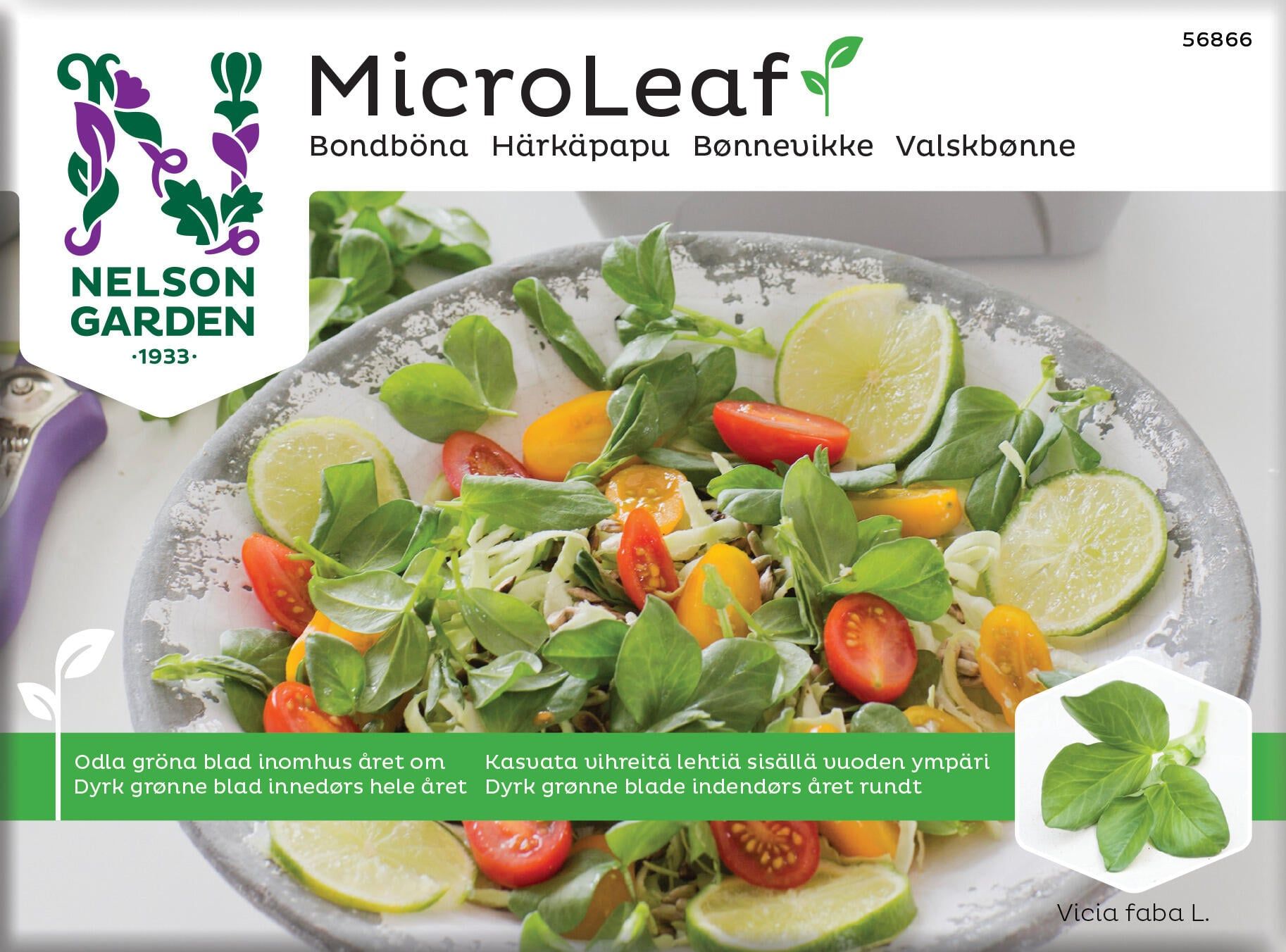 Micro Leaf, bondböna 1