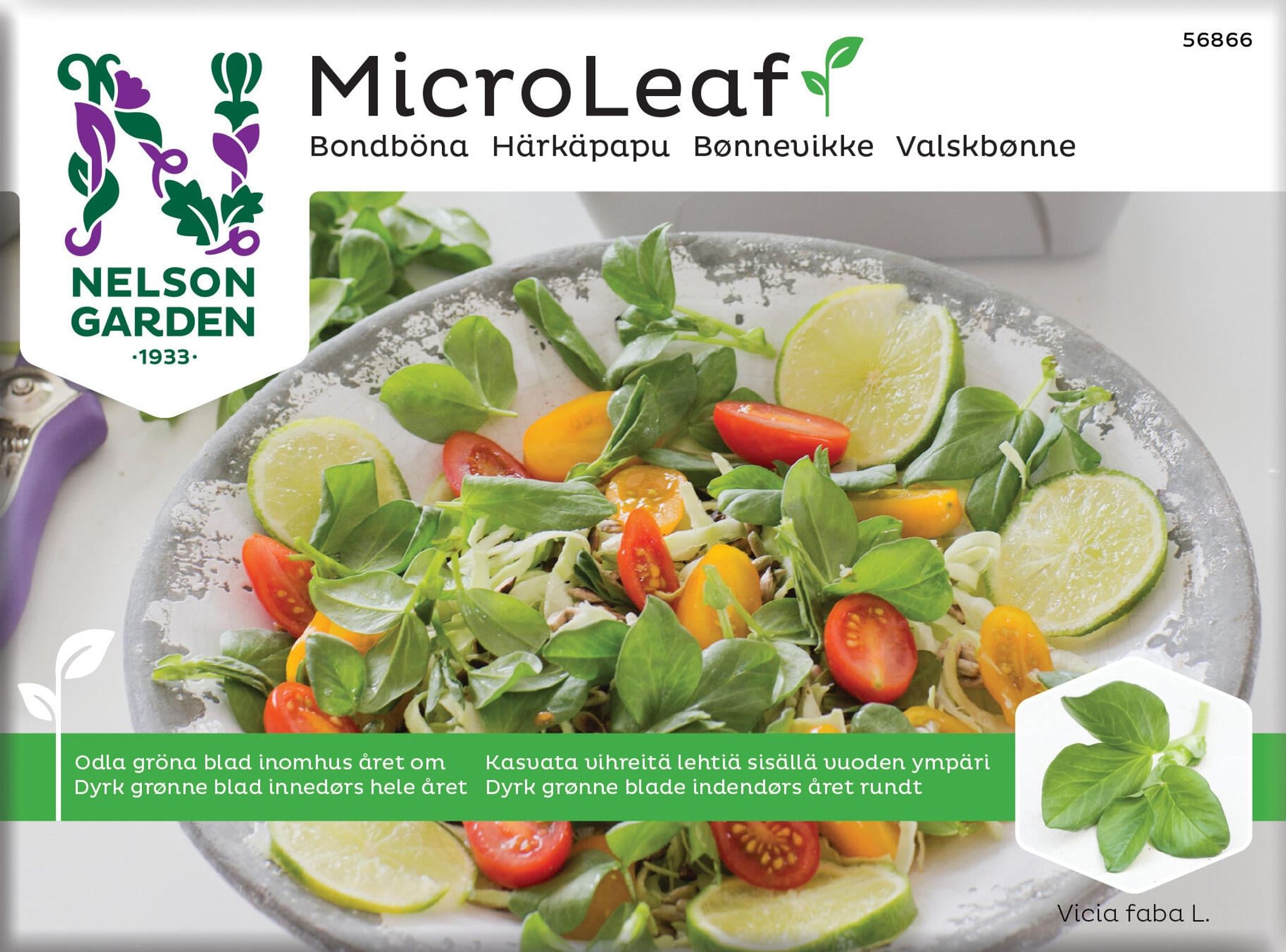 Micro Leaf, valskbønne